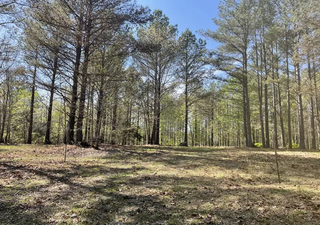 3rd image of 1001 Bj Rd, Centerville, TN 37033 | MLS# 3333685