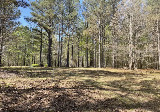 5th image of 1001 Bj Rd, Centerville, TN 37033 | MLS# 3333685