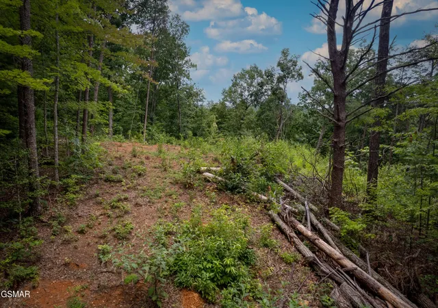 1st image of 2 Verless Ogle, Sevierville, TN 37876 | MLS# 3320532
