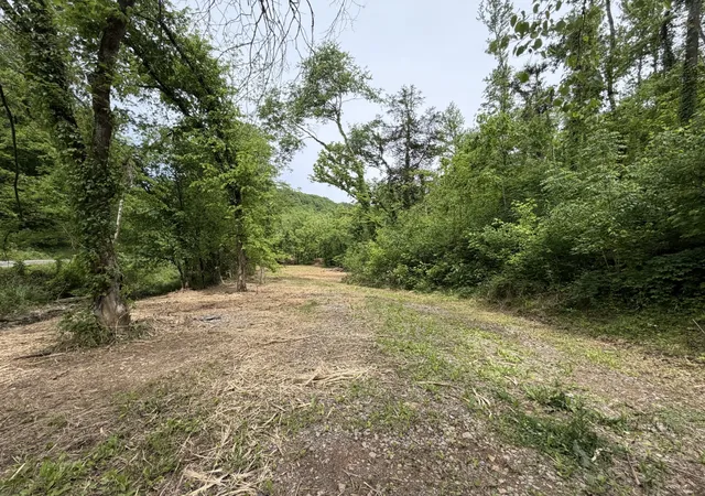 2nd image of 0 Long Branch Rd, Lancaster, TN 38569 | MLS# 3326714