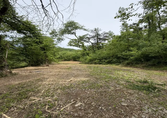 3rd image of 0 Long Branch Rd, Lancaster, TN 38569 | MLS# 3326714