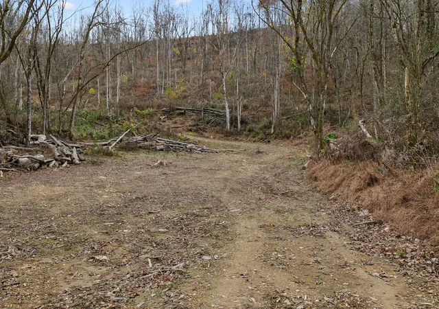 4th image of 0 Long Branch Rd, Lancaster, TN 38569 | MLS# 3326714