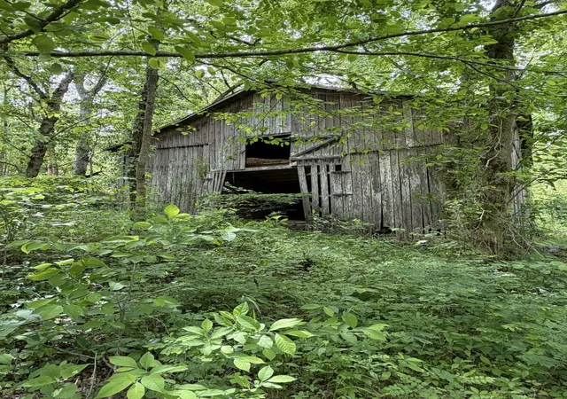 47th image of 0 Long Branch Rd, Lancaster, TN 38569 | MLS# 3326714