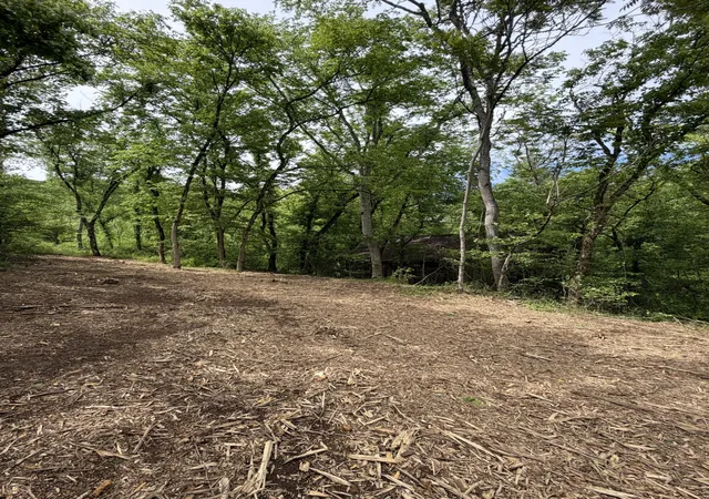 5th image of 0 Long Branch Rd, Lancaster, TN 38569 | MLS# 3326714