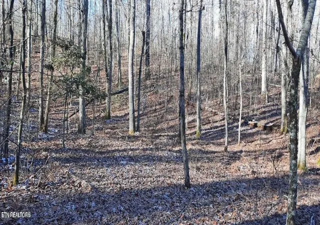 17th image of 1149 Off Stanley Hood Rd, Crossville, TN 38571 | MLS# 3320602