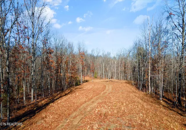 5th image of 1149 Off Stanley Hood Rd, Crossville, TN 38571 | MLS# 3320602