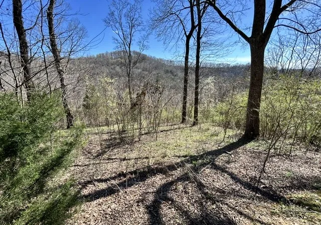 Photo 2 of Land for sale at 209 Sandgate Dr, Smithville, TN 37166 | MLS# 3320978 | Listing updated on 2026-09-01