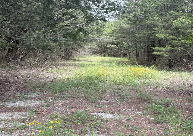 1st image of 0 John Lunn Rd, Lewisburg, TN 37091 | MLS# 3333644