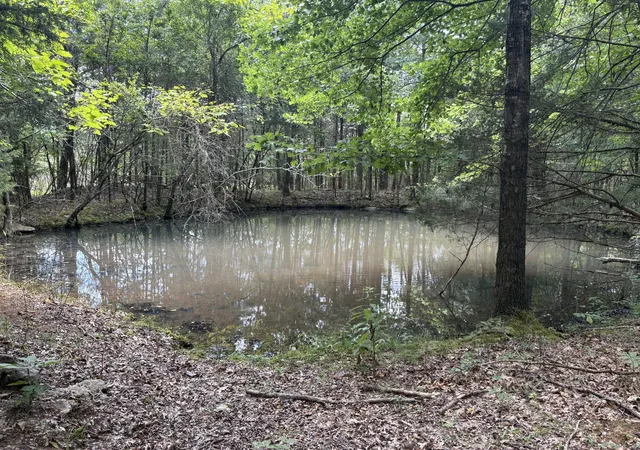 2nd image of 0 John Lunn Rd, Lewisburg, TN 37091 | MLS# 3333644