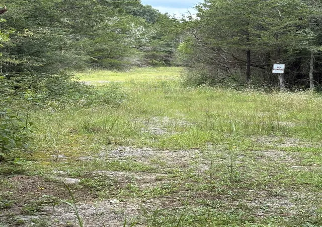 5th image of 0 John Lunn Rd, Lewisburg, TN 37091 | MLS# 3333644