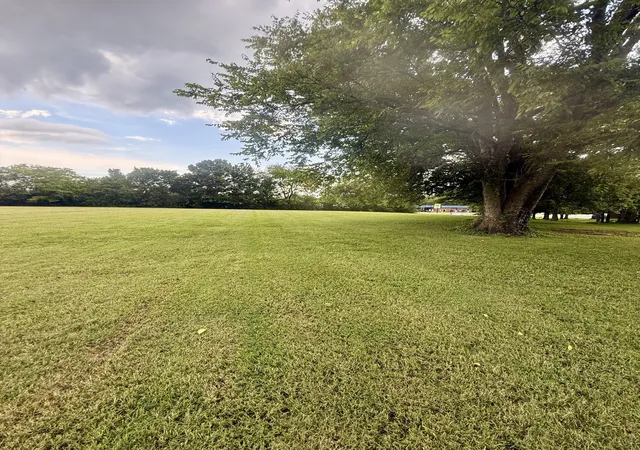 2nd image of 0 31e Hwy, Gallatin, TN 37066 | MLS# 3509967