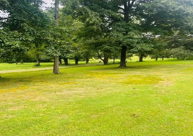 Photo 4 of Single family home for sale at 1030 Stones Rd, Camden, TN 38320 | MLS# 3321967 | Listing updated on 2026-08-04