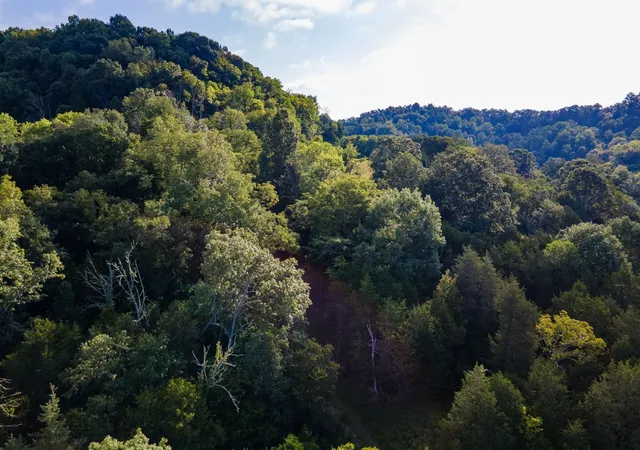 29th image of 193 Dixon Ln, Pleasant Shade, TN 37145 | MLS# 3320995