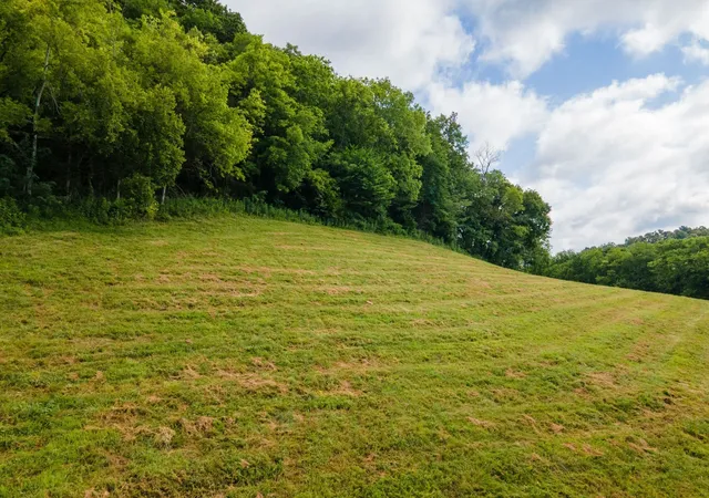 3rd image of 193 Dixon Ln, Pleasant Shade, TN 37145 | MLS# 3320995