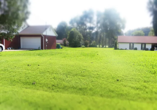 8th image of 19 Wallace Cv, Jackson, TN 38305 | MLS# 3511214
