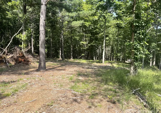 1st image of 0 Tall Woods Ln, Spencer, TN 38585 | MLS# 3321975