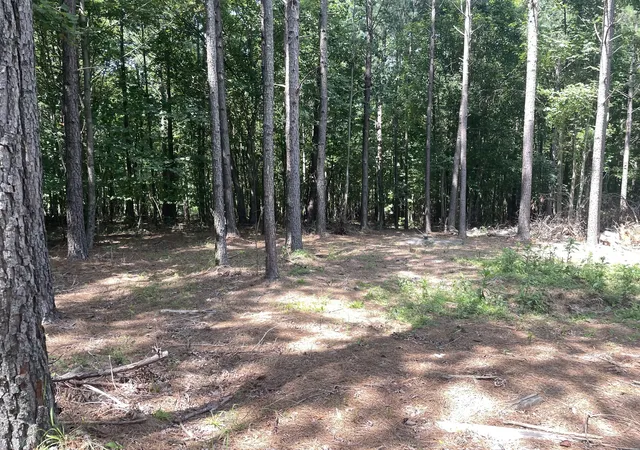2nd image of 0 Tall Woods Ln, Spencer, TN 38585 | MLS# 3321975
