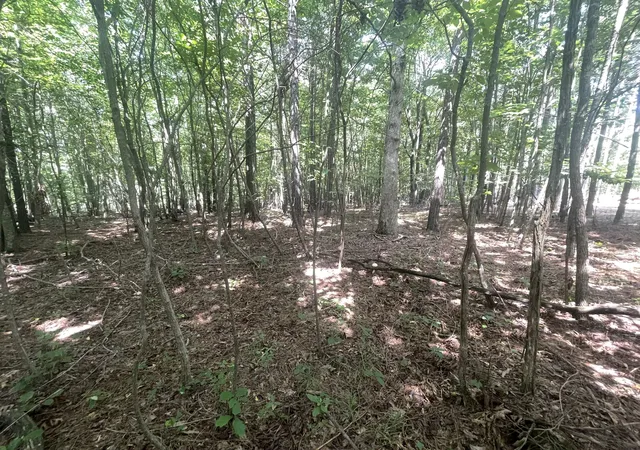 3rd image of 0 Tall Woods Ln, Spencer, TN 38585 | MLS# 3321975