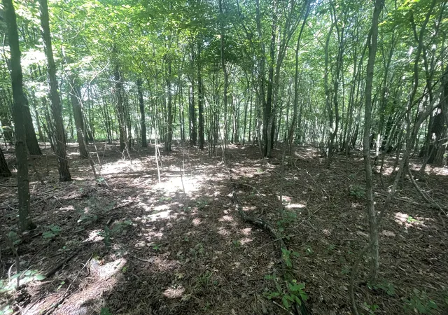 4th image of 0 Tall Woods Ln, Spencer, TN 38585 | MLS# 3321975