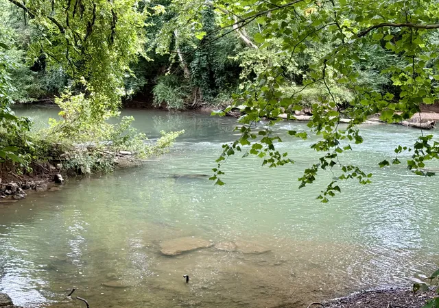 24th image of 1932 Vales Mill Rd, Pulaski, TN 38478 | MLS# 3322366
