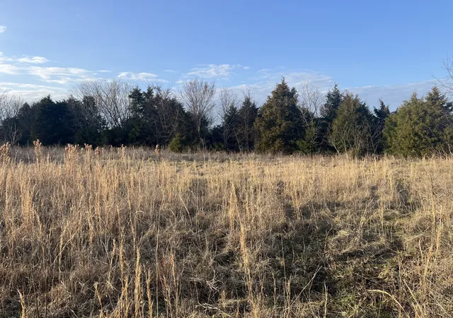 4th image of 0 Hwy 64, Pulaski, TN 38478 | MLS# 3321994