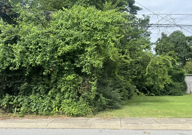 1st image of 216 S Foster Ave, Gallatin, TN 37066 | MLS# 3501224