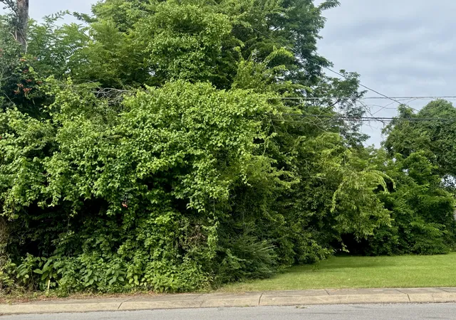 2nd image of 216 S Foster Ave, Gallatin, TN 37066 | MLS# 3501224