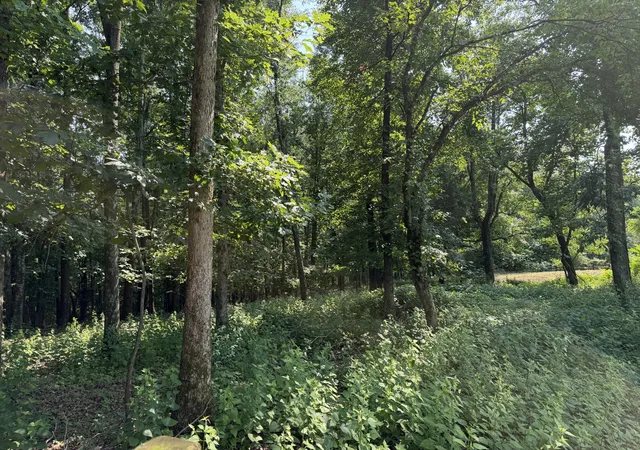 5th image of 7541 Greer Rd, Goodlettsville, TN 37072 | MLS# 3336021