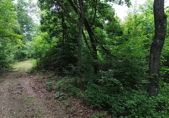 Photo 3 of Single family home for sale at 204 Charlie Crosslin Rd, Manchester, TN 37355 | MLS# 3336195 | Listing updated on 2026-09-29