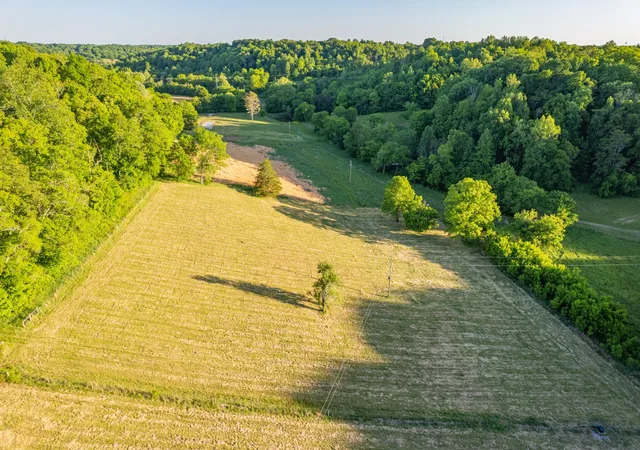 3rd image of 5 Young Rd, Pulaski, TN 38478 | MLS# 3502125