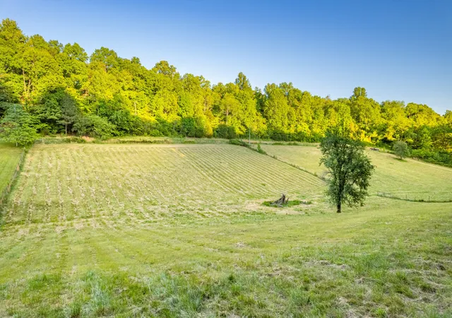 16th image of 6 Young Rd, Pulaski, TN 38478 | MLS# 3502123