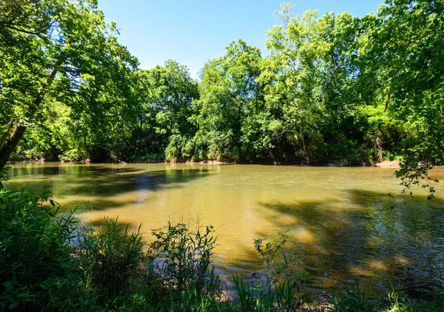 60th image of 2543 Hwy 41 S, Shelbyville, TN 37160 | MLS# 3322305