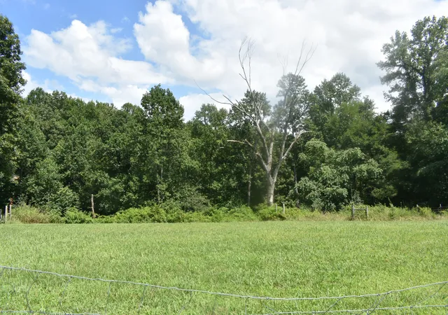 Photo 1 of Land for sale at 0 Countrywood Ln, Gainesboro, TN 38562 | MLS# 3528756 | Listing updated on 2026-09-24