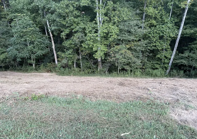 Photo 3 of Land for sale at 0 Countrywood Ln, Gainesboro, TN 38562 | MLS# 3528756 | Listing updated on 2026-09-24