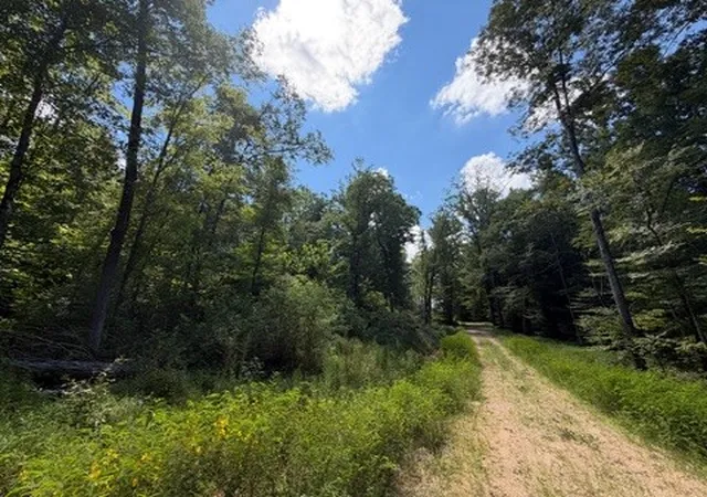 15th image of 0 Center Point Rd S, Reagan, TN 38368 | MLS# 3333534