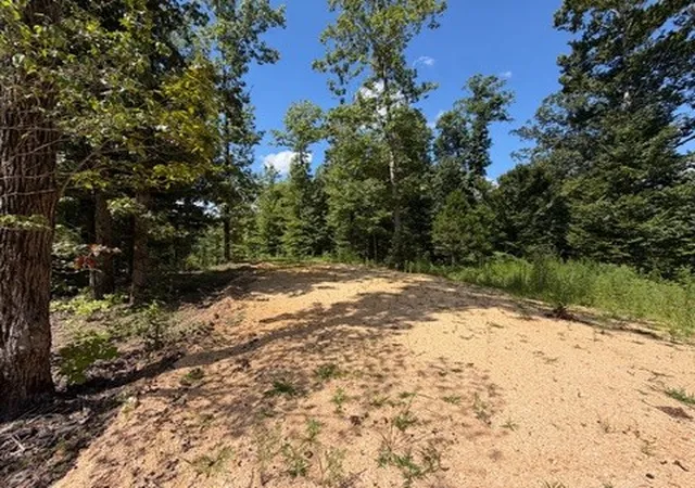 2nd image of 0 Center Point Rd S, Reagan, TN 38368 | MLS# 3333534