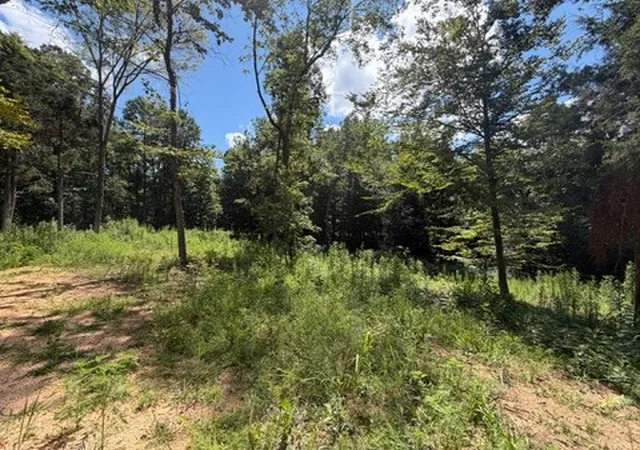 3rd image of 0 Center Point Rd S, Reagan, TN 38368 | MLS# 3333534