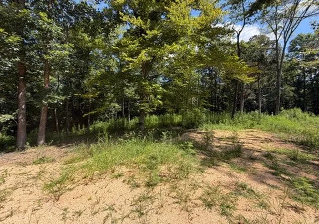 4th image of 0 Center Point Rd S, Reagan, TN 38368 | MLS# 3333534