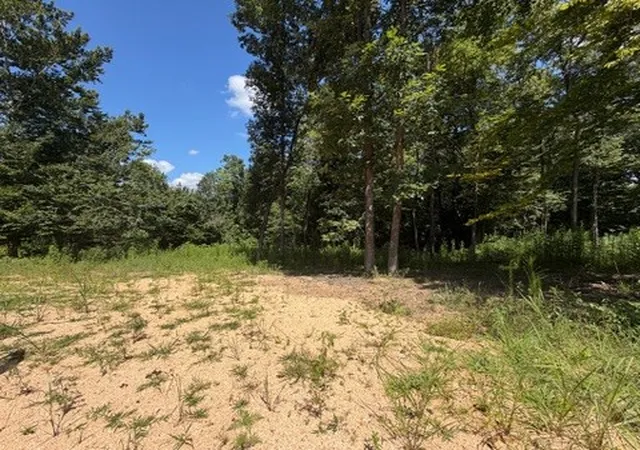 5th image of 0 Center Point Rd S, Reagan, TN 38368 | MLS# 3333534