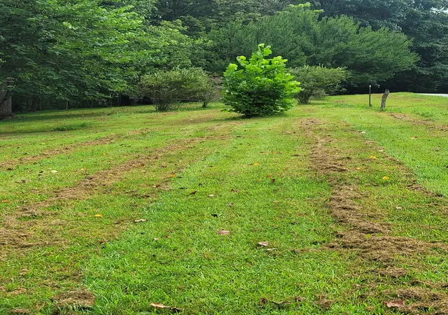 2nd image of 465 Sunset Ridge Ln, Hilham, TN 38568 | MLS# 3323816