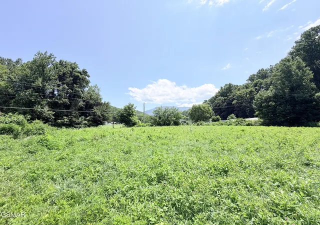 1st image of 187 Hwy 32, Cosby, TN 37722 | MLS# 3322401