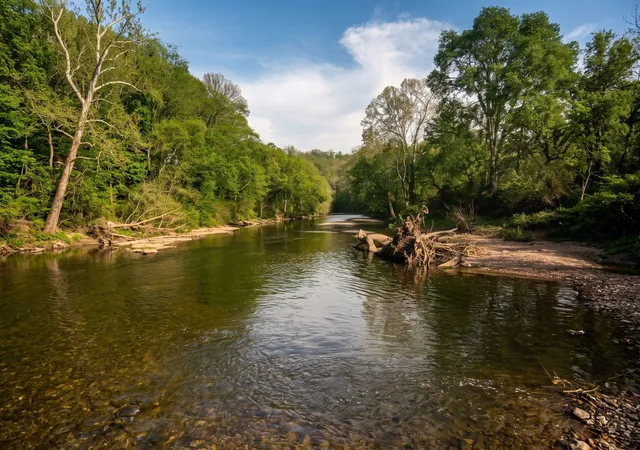 Land for sale at 0 Lower Helton Rd, Liberty, TN 37095 | MLS# 3322410