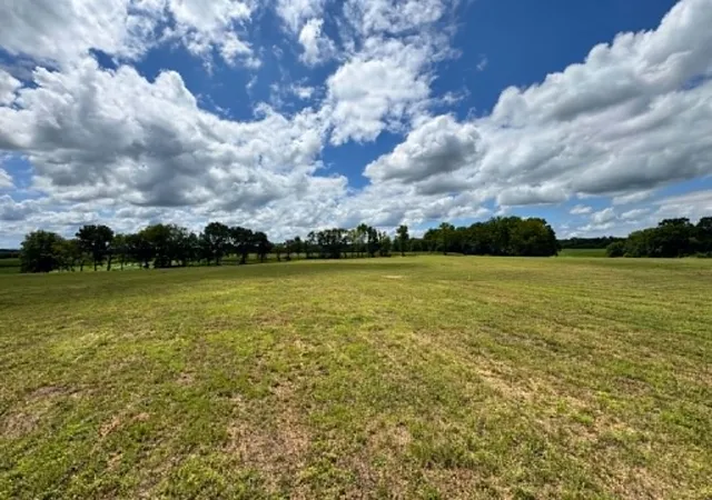 1st image of 0 Ben Armstrong Rd, Castalian Springs, TN 37031 | MLS# 3322416