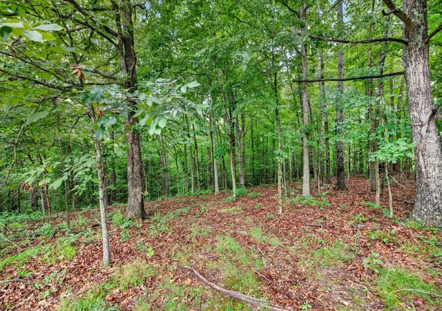 38th image of 81 Homestead Court, Dover, TN 37058 | MLS# 3336313
