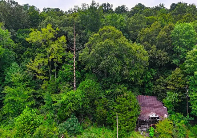 5th image of 4 Cedar Hill Rd, White Bluff, TN 37187 | MLS# 3322461