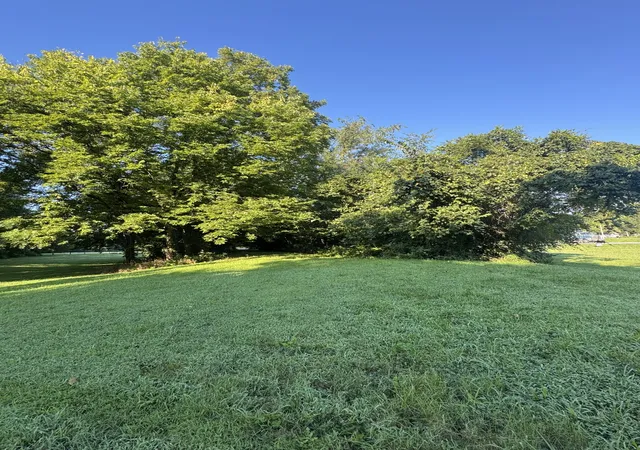 4th image of 3992 Hwy 31E, Bethpage, TN 37022 | MLS# 3323059