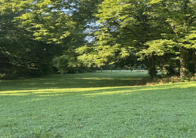 5th image of 3992 Hwy 31E, Bethpage, TN 37022 | MLS# 3323059