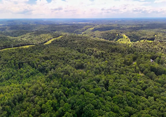 Photo 3 of Land for sale at 5 Hickory Ln, Waverly, TN 37185 | MLS# 3322466 | Listing updated on 2026-09-02