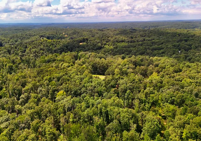 Photo 3 of Land for sale at 5 Hickory Ln, Waverly, TN 37185 | MLS# 3322466 | Listing updated on 2026-09-02
