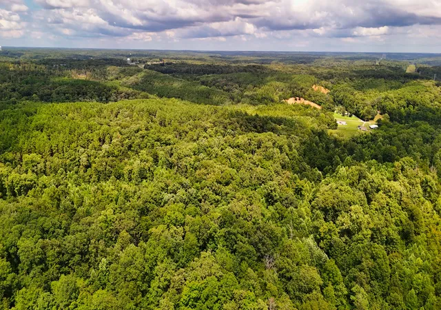 Photo 4 of Land for sale at 5 Hickory Ln, Waverly, TN 37185 | MLS# 3322466 | Listing updated on 2026-09-02